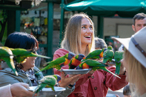 A woman holding a plate of bird food as rainbow lorikeets sit on it and her. She is smiling and looking off camera. Source: Destination Gold Coast